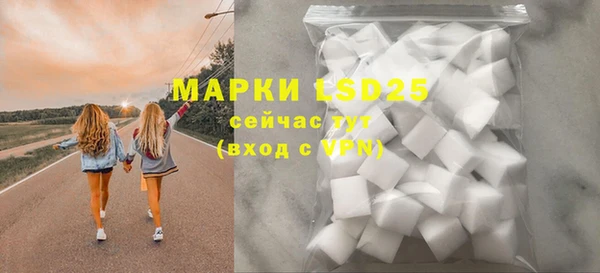 спиды Липки