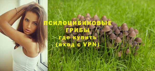 спиды Липки