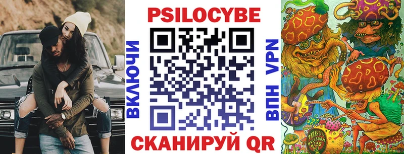 продажа наркотиков  Чудово  shop какой сайт  Псилоцибиновые грибы мицелий 