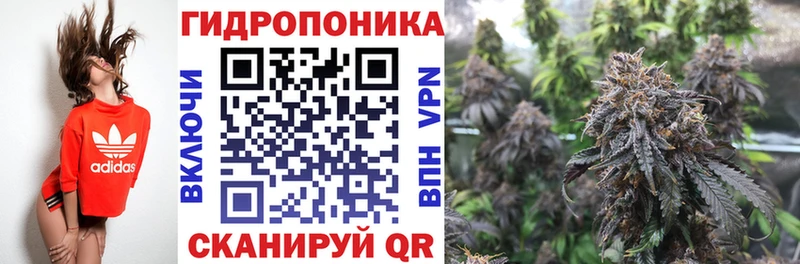 купить наркотик Чудово Бошки Шишки OG Kush